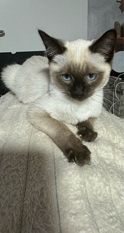 Minka‘s